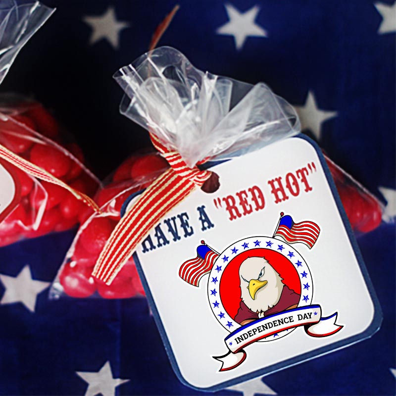 Independence Day Eagle Embroidery Design – USA Patriotic Theme