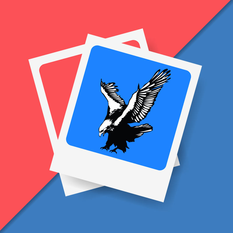 Nabbing Bald Eagle Silhouette Art