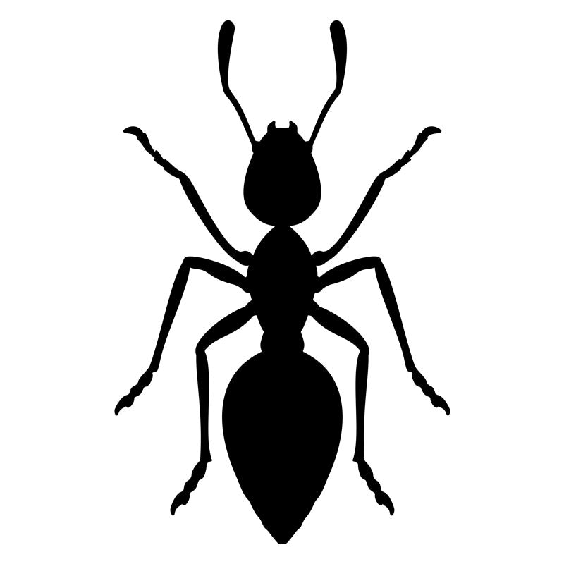 Carpenter Black Ant Silhouette Art