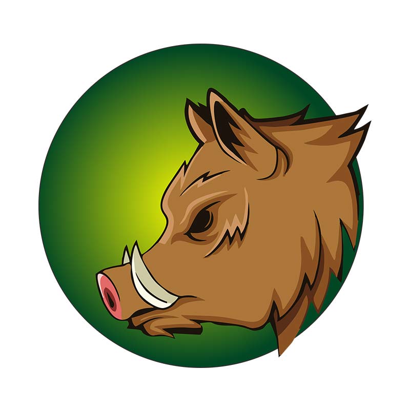 Spine Chilling Boar Vector Art