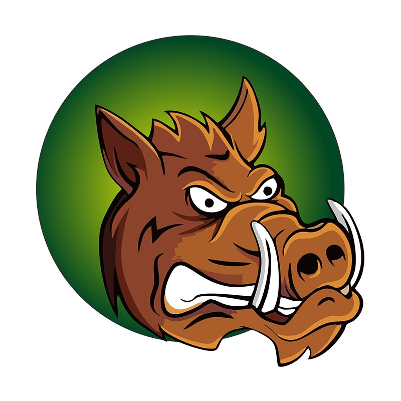 Enraging Bewildered Boar Vector Art