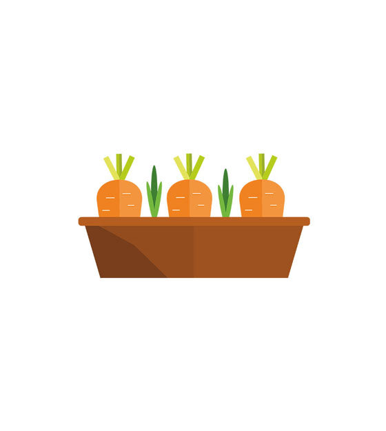 Delectable Garden Reddish Carrots Vector Art