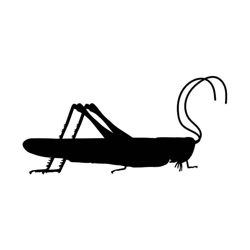 Desert Locust Grasshoppers Insect Silhouette Art