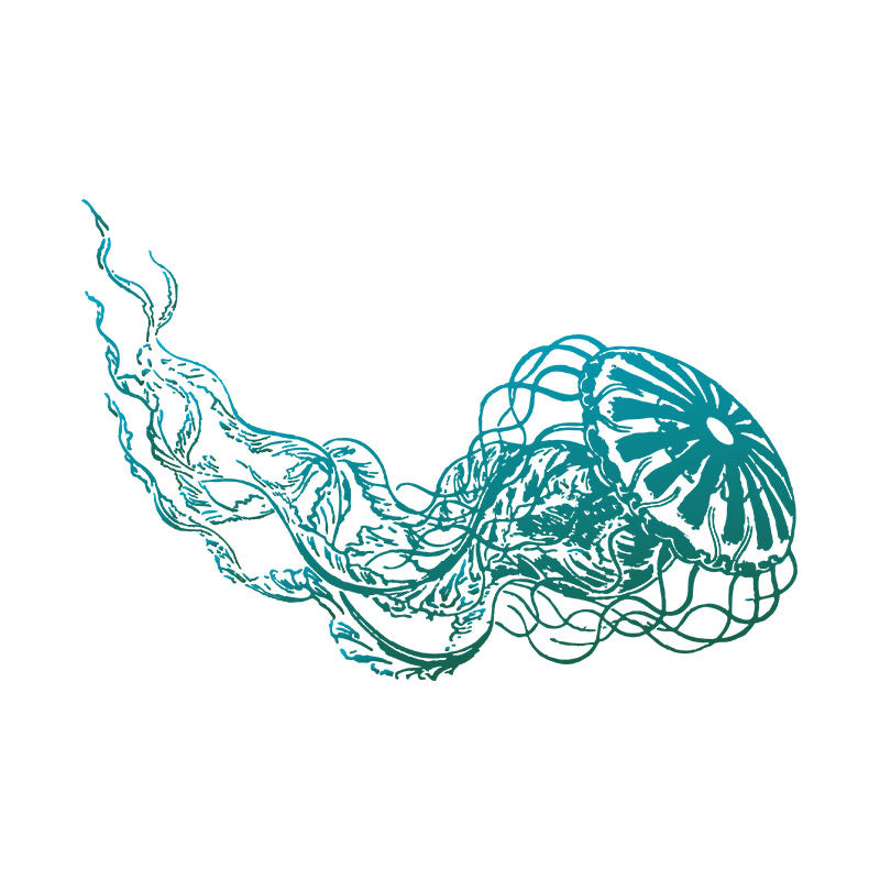 Eye-catching Immortal Jelly Fish Vector Art