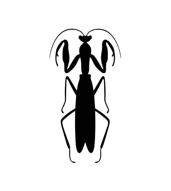 Praying Adorable Mantis Silhouette Art