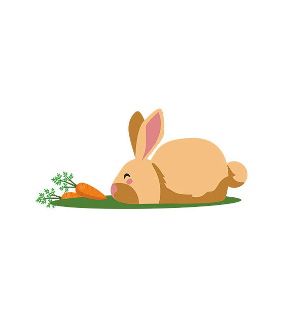 Cute Bunny Graphic Image Vector Art