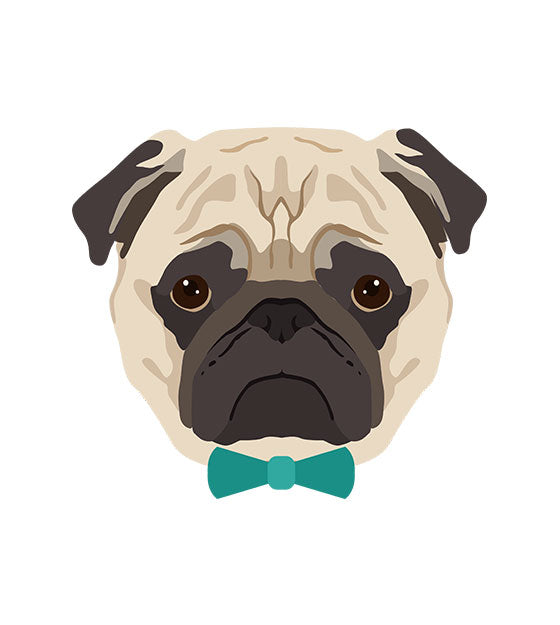 Pug Face Vector – Dog