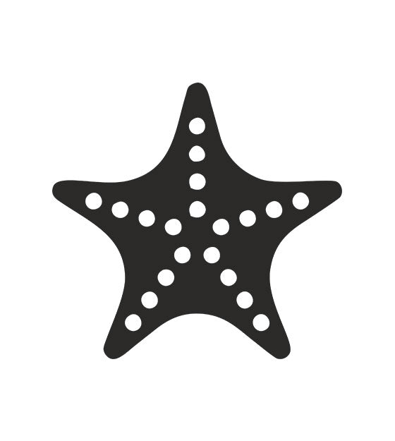 Starfish Stencil Art