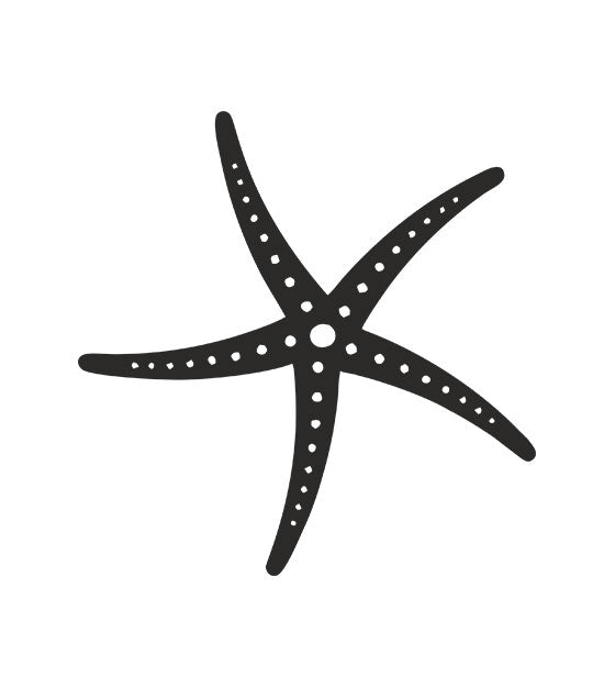 Starfish Stencil Design