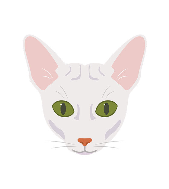 Sphynx Face Vector Design