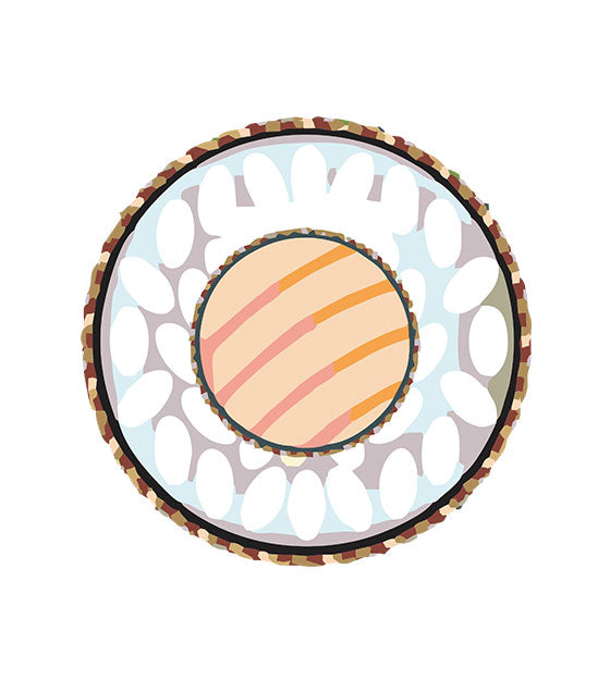 Salmon Sushi Roll Vector