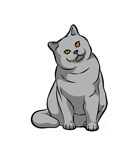 British Short Hair Cat Vector