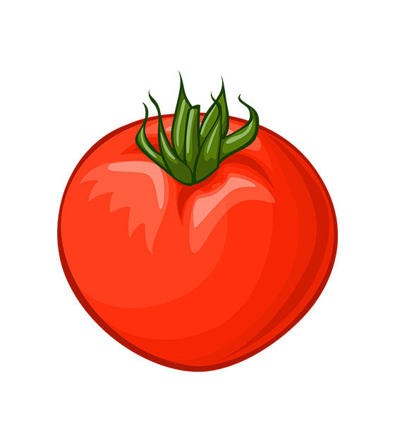 Tomato Vector