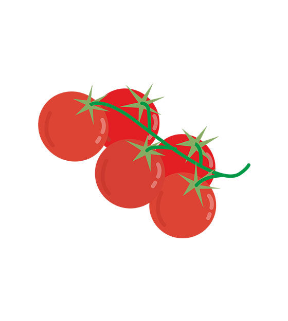 Tomatoes Vector