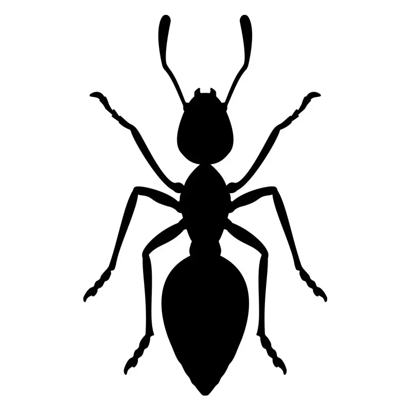 Carpenter Black Ant Silhouette Art