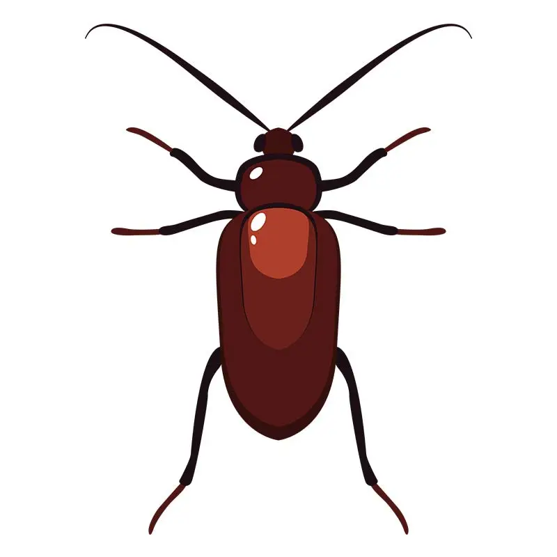 Adaptable Cockroach Vector Art