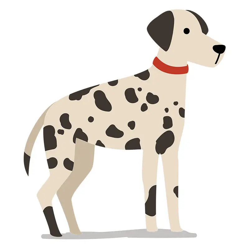 Obliging Dalmation Dog Vector Art