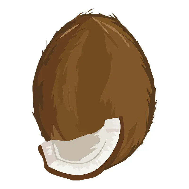 Luscious Copra Coconut Piece Vector Art