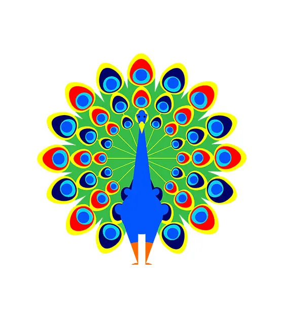 Dancing Vibrant Open Feathered Peacock Vector Art