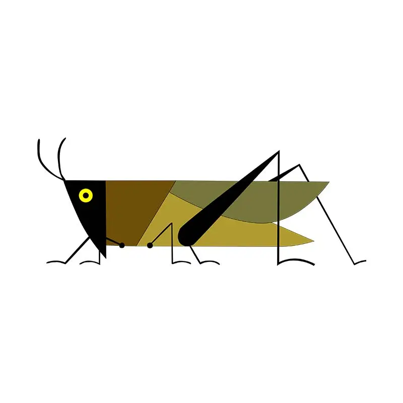 American Bird Grasshopper Insect Vector Art