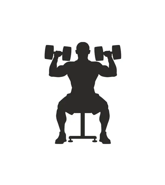 Sitting Bench Shoulders Gym Exercise Silhouette Art