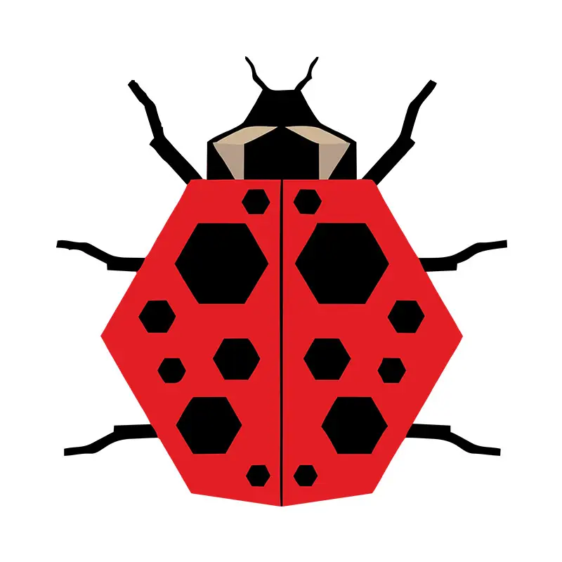 Rhombus Shaped Lady Bug Vector Art