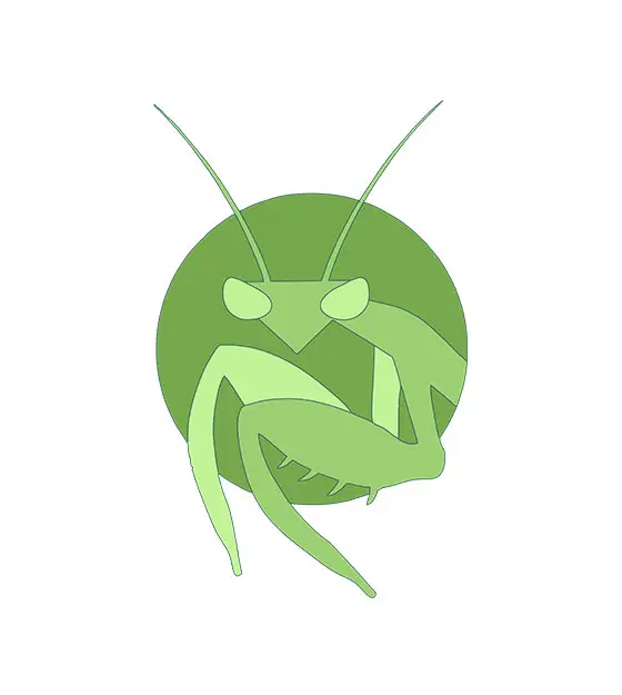Green Ground Mantis Vector Art