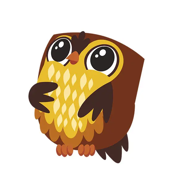Owl Vector Design