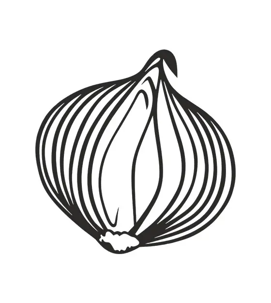 Onion Stencil