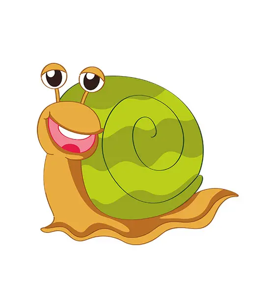 Snail Vector Design