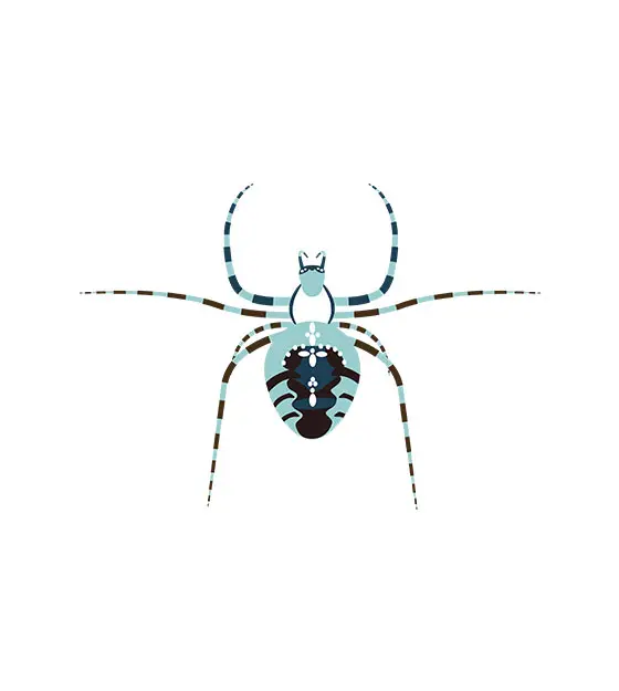 Spider Vector