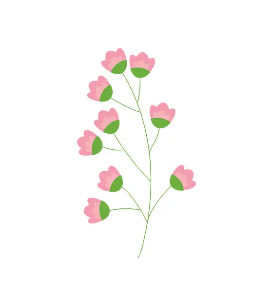 Tulip Vector
