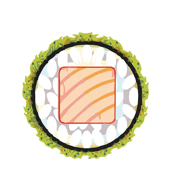 Sushi Vector