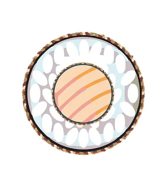 Salmon Sushi Roll Vector