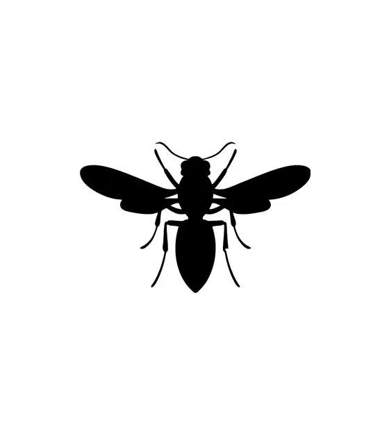 Subtle and Cute Wasp Silhouette Art