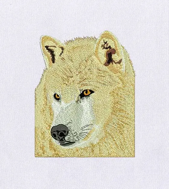 Alluring Regal Wolf Embroidery Design