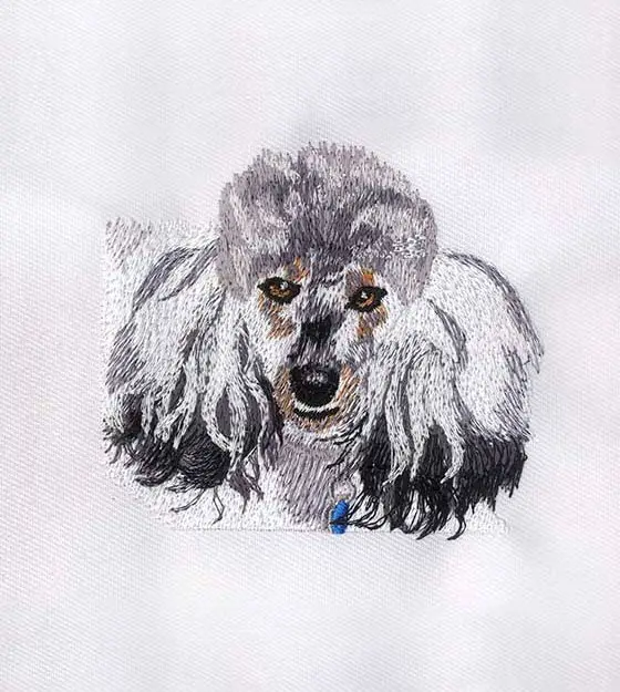 Poodle Embroidery Design – 4x4 Dog PES Embroidery File