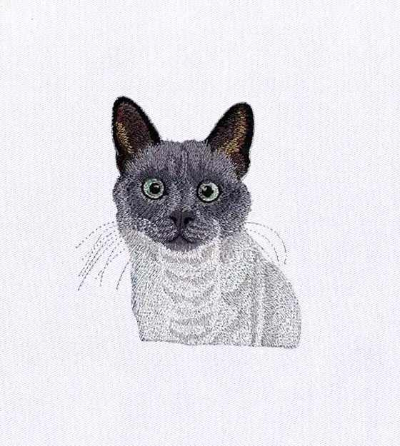 Beady Eyed Cat Embroidery Design