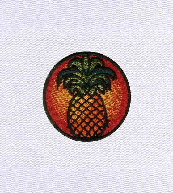 Colorful Fruity Pineapple Embroidery Design