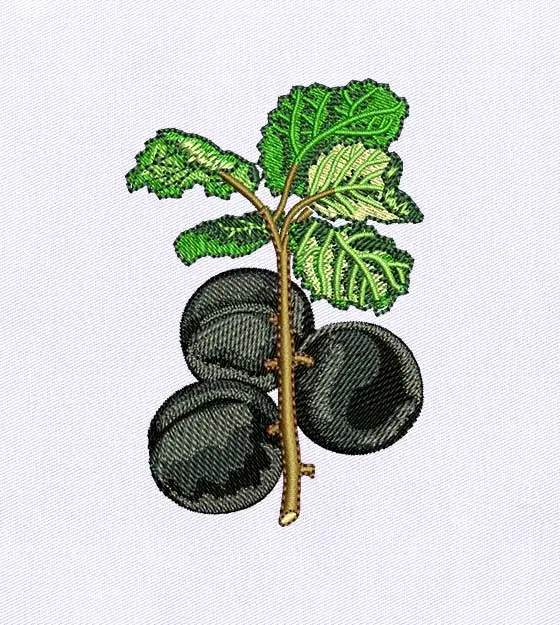 Dark and Juicy Plum Embroidery Design