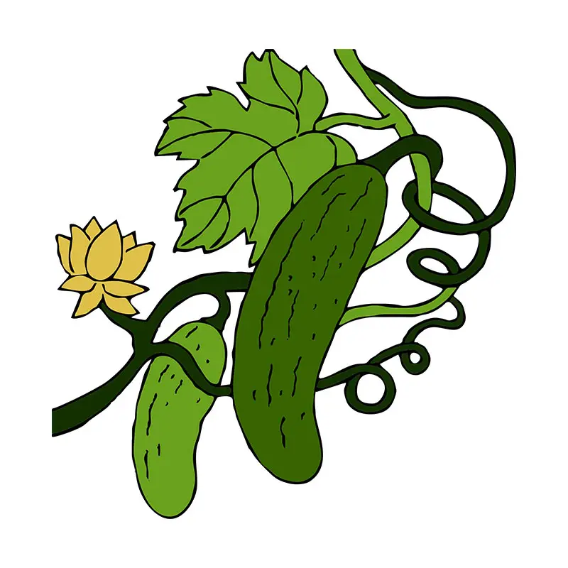 Captivating Kirby Cucumber Vines Vector Art