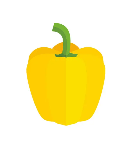 Yellow Bell Pepper Vector