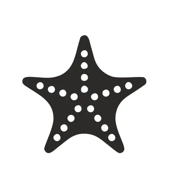 Starfish Stencil Art