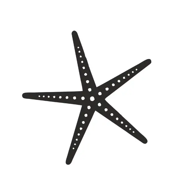 Starfish Stencil File