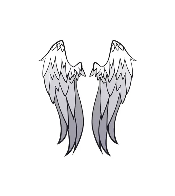 Beautiful Angel White Wings Vector Art