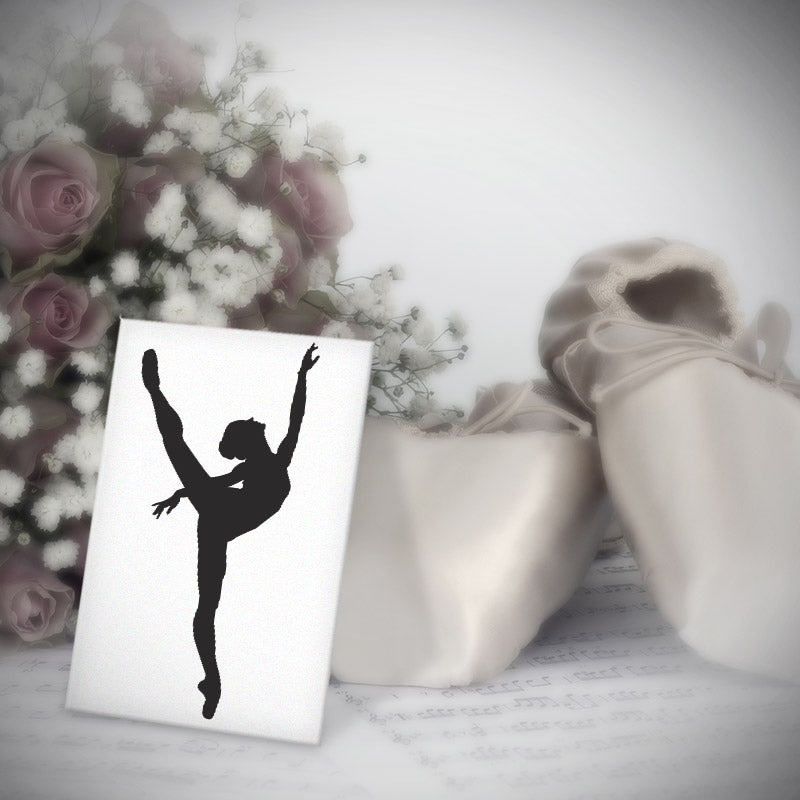 Amazing Leg Holding Technique Ballet Silhouette Art