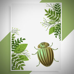 Chrysolina Perforata Vector Art