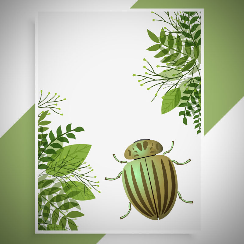 Chrysolina Perforata Vector Art
