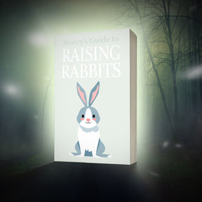 Captivating Baby Blue Bunny Vector Art