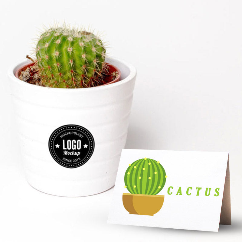 Unique Star Cactus Plant Vector Art